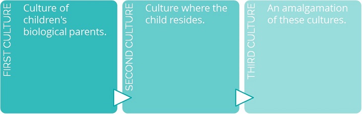 A third culture kid infographic