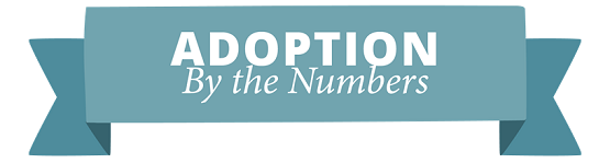Blue banner that reads "Adoption By the Numbers"