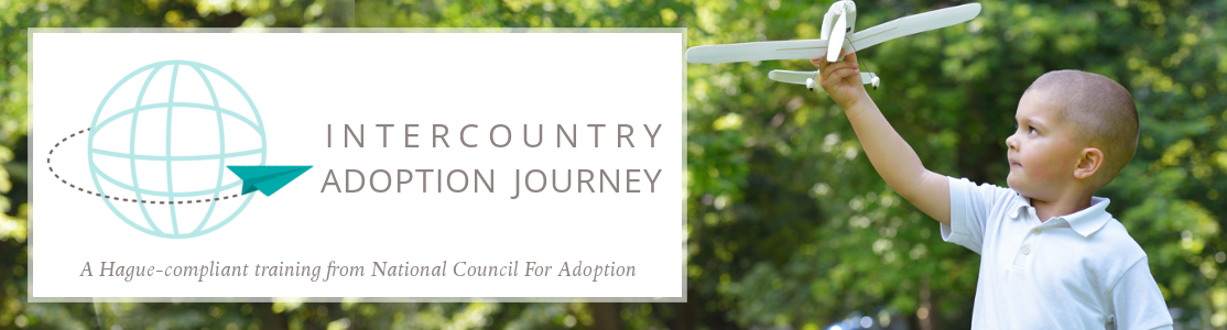 itercountry adoption journey
