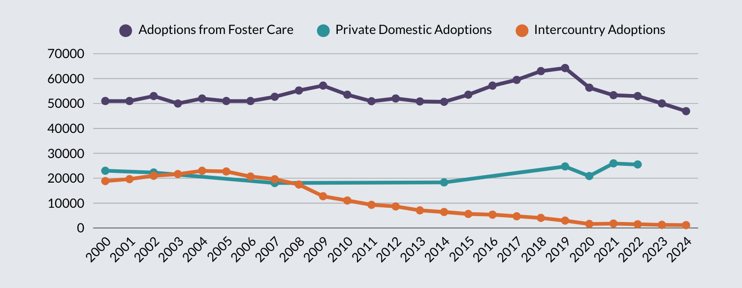 Adoption Statistics - 2025 (2)
