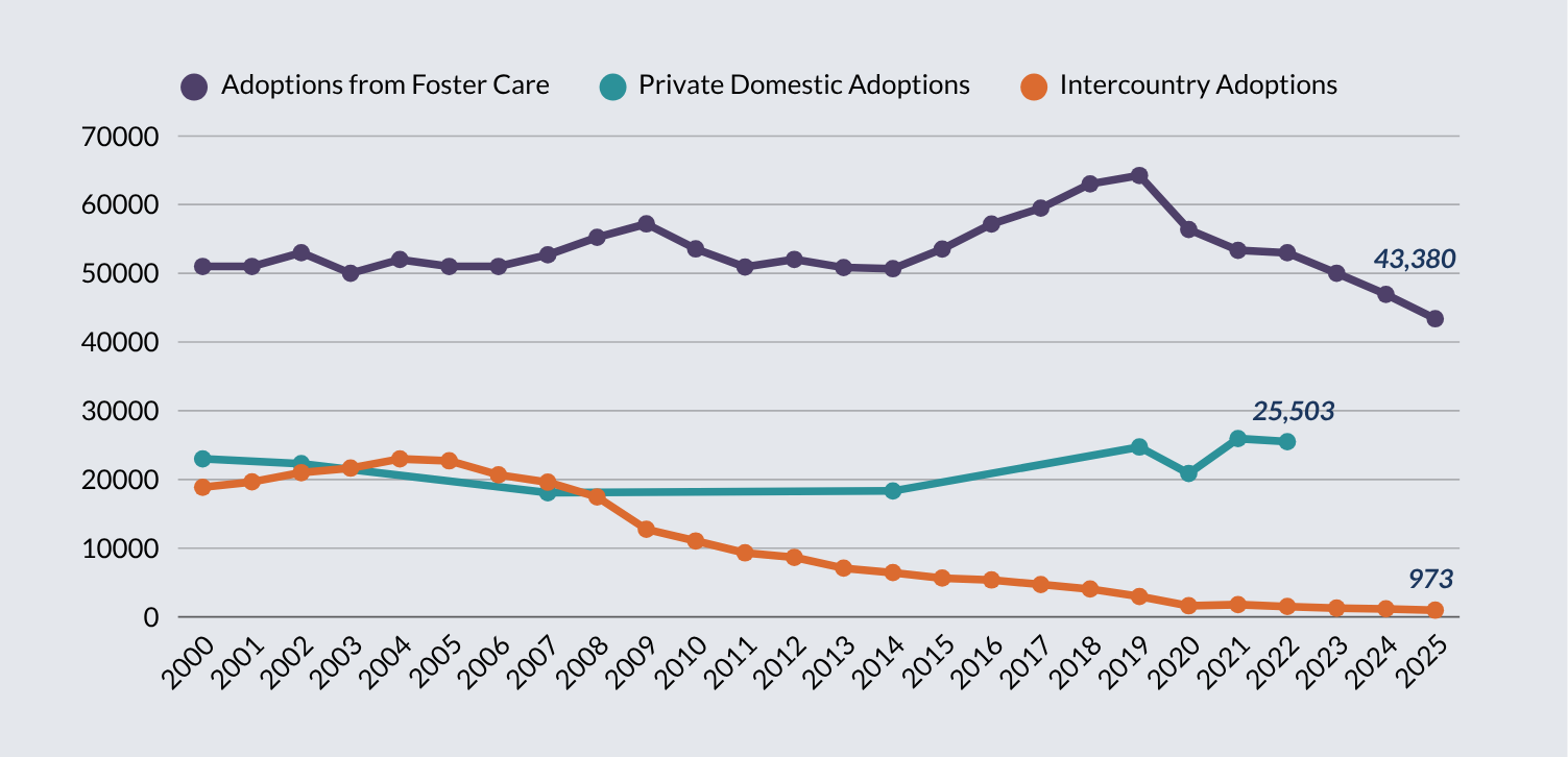 Adoption Statistics - 2026