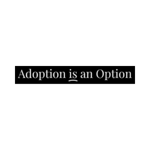 ADOPTION IS AN OPTION LOGO SQUARE